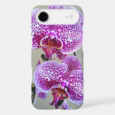 Search for orchids photography Purple orchid