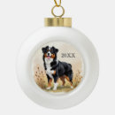 Search for aussie ornaments Pets
