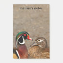 Search for duck post it notes Waterfowl