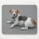 Search for mixed breed mousepads Cute