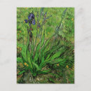 Recherche de iris de vincent van gogh cartes postales Fleurs