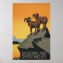 Recherche de conserve de parcs nationaux Faune