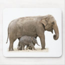 Recherche de éléphant bébé tapis souris Éléphants