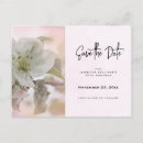 Search for apple blossom invitations Botanical