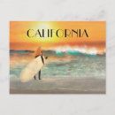 Recherche de surfeurs cartes postales Coucher de soleil