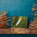 Search for danita delimont plaques Woodland