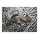 Recherche de somnolent cartes postales Adorable