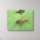 Recherche de mouche impressions sur toile Animaux