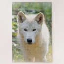 Recherche de loups puzzles Gris