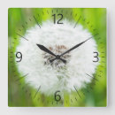 Search for dandelion blowing posters Summer