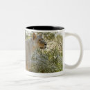 Search for down south mugs Wildlife