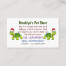 Search for cute tortoise Animal