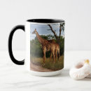 Recherche de kenya tasses Safari