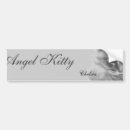 Search for kittie bumper stickers Photography