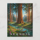 Search for sequoia national park postcards Matching family tourist trip