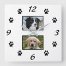 Recherche de pets horloges Empreinte de patte