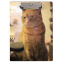 Search for drawstring bags Cat