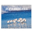Search for bird calendars Wildlife photography