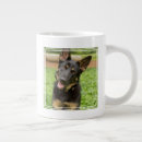 Search for shepherd puppy mugs Grass
