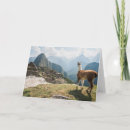 Recherche de andes vœux cartes Lama