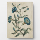 Search for convolvulus Botany