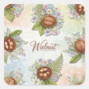 Search for walnut stickers Nature