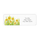 Search for daffodils return address labels Flowers