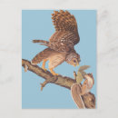 Recherche de barre cartes postales Nature