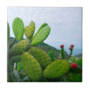 Search for southwest tiles Ceramic