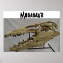 Recherche de rex de t posters Fossile