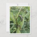 Search for commons postcards Garden