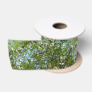 Recherche de arbre de cornouiller Fleur