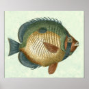 Recherche de natation posters Poissons