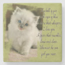 Recherche de ragdolls dessous de verres Mignon