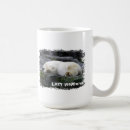 Search for sleepy bear mugs Funny