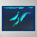 Recherche de mammifères marins posters Pour tous
