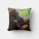 Search for orangutan pillows Ape