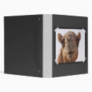 Search for camel office supplies Wildlife