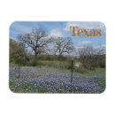 Recherche de state magnets Pour elle