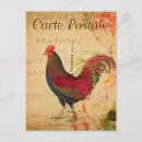 Recherche de vintage coq cartes postales Poulet