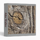 Search for natural wood binders Nature