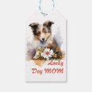 Search for funny dog picture postcards For her