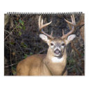 Recherche de whitetail bureau fournitures Chasse