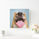 Search for tongue clocks Dog