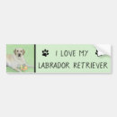 Search for labrador bumper stickers Dog