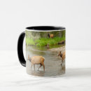Search for elks mugs Forest