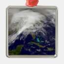 Search for storm ornaments Winter