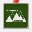 Search for adirondack mountains ornaments New york