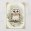 Recherche de jeune hibou cartes postales Oiseau