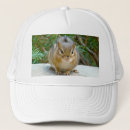 Search for chipmunk hats Wildlife